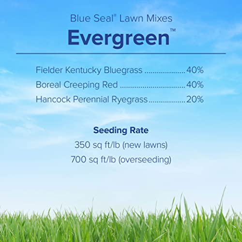 Fine-Textured Sun and Shade Grass Seed Mix, 25 lb Bag V618