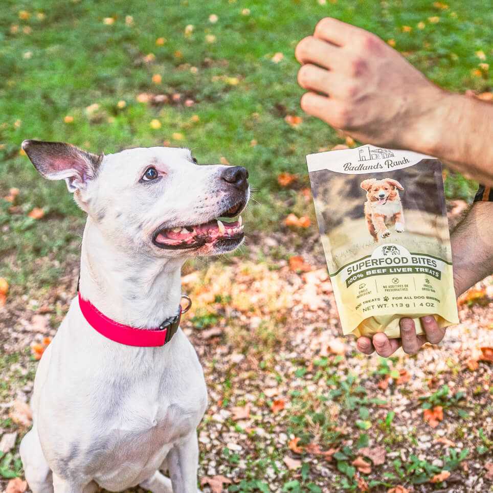 Beef Liver Treats 4 oz K231871