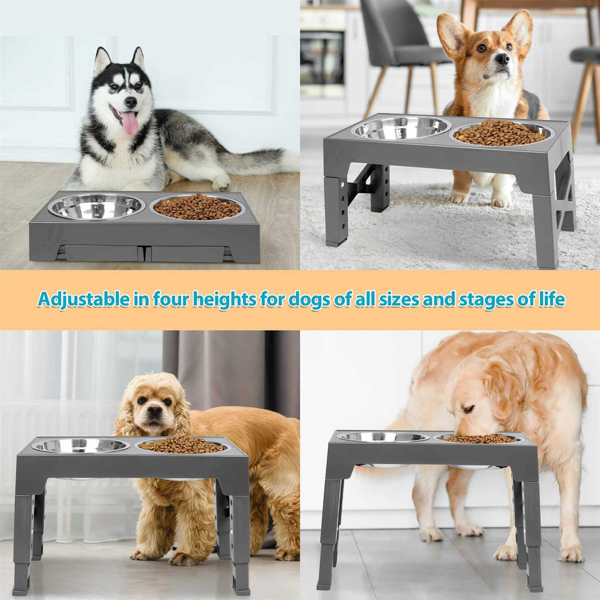 Elevated Dog Bowls with 2 Stainless Steel Bowls A911
