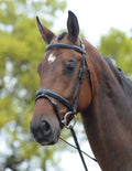 Black Padded Flash Bridle X664
