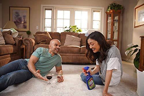Instant Carpet Stain & Odor Eliminator 22 oz (Pack of 6) I602850