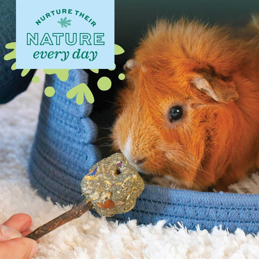 Adult Guinea Pig Food P3062