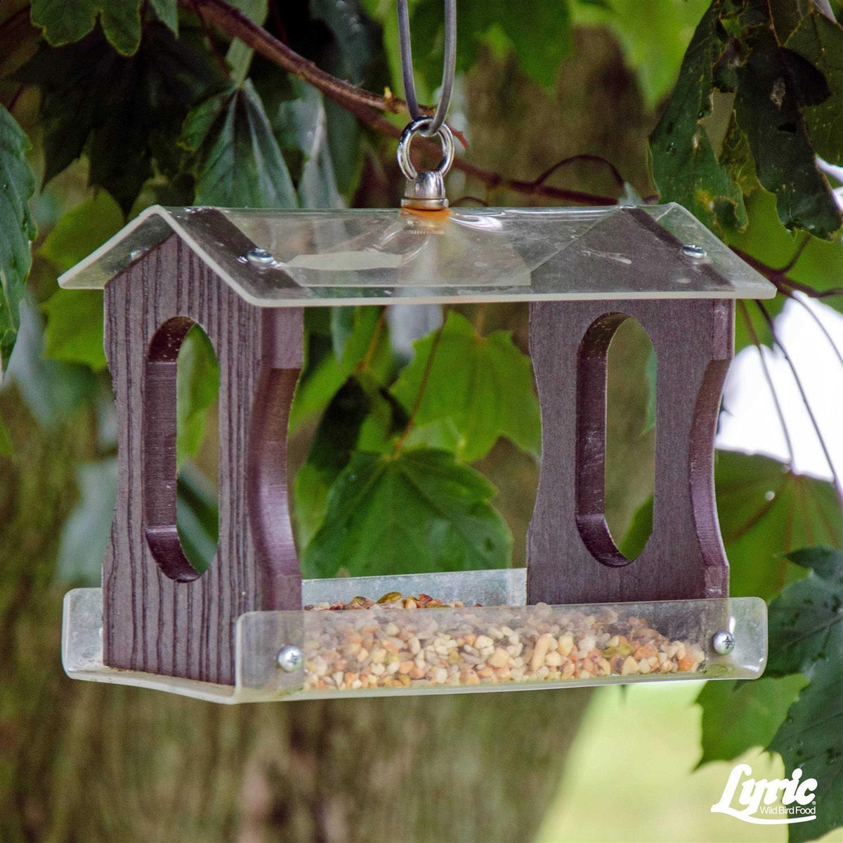Wild Bird Food A361
