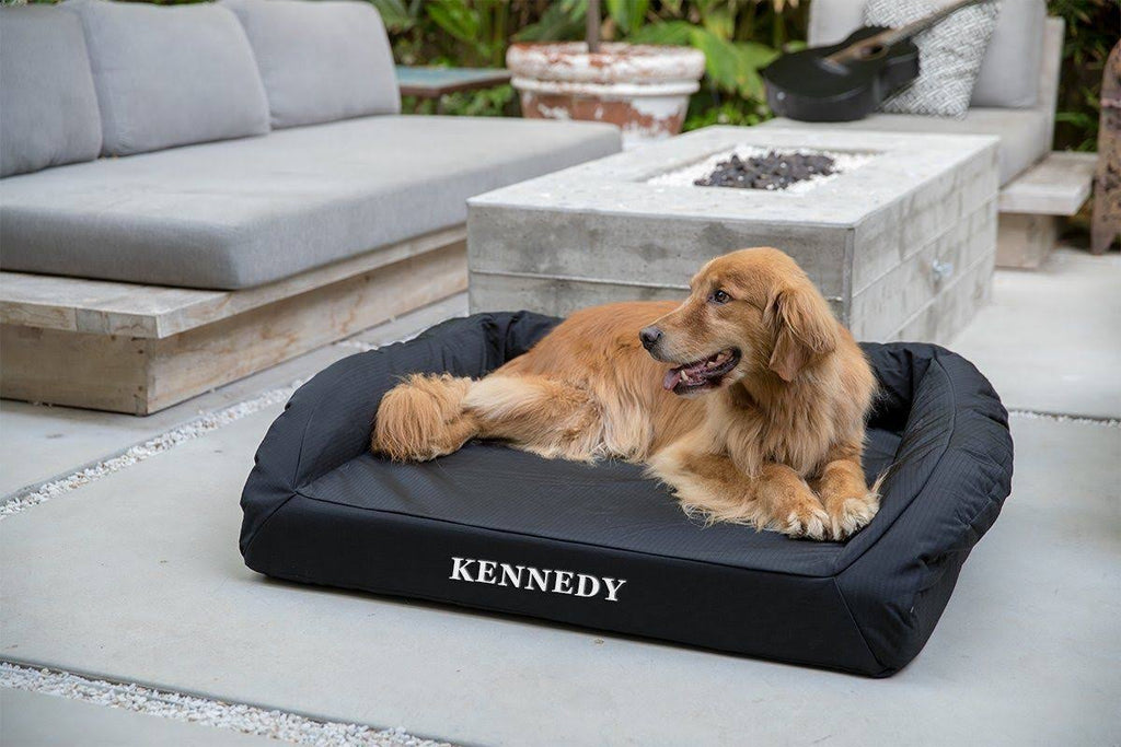 Black X-Large Orthopedic Dog Bed C90701