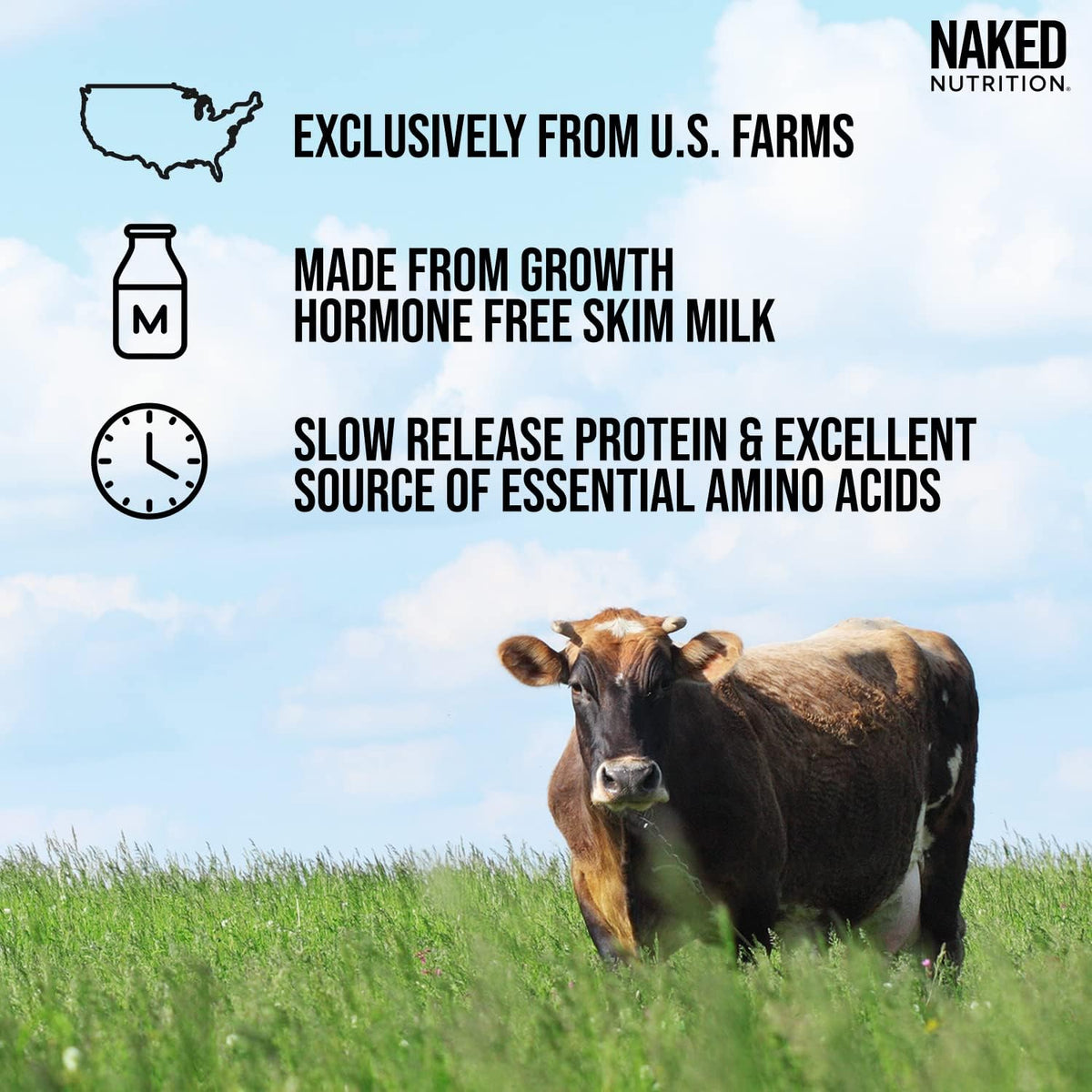 Grass Fed Protein Bundle: 1LB Unflavored Casein and 1LB Unflavored Whey Q74039