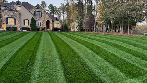 Tall Fescue Grass Seed - 25lbs. - Dark Green Color X9643