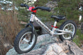 Red Balance Bike F8557