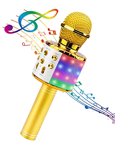 4 in 1 Wireless Karaoke Microphone with LED Lights G765022
