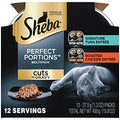 24 Count Wet Cat Food Trays, Gourmet Salmon Entrée H614979