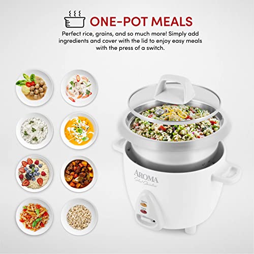 6-Cup Stainless Rice Cooker E482