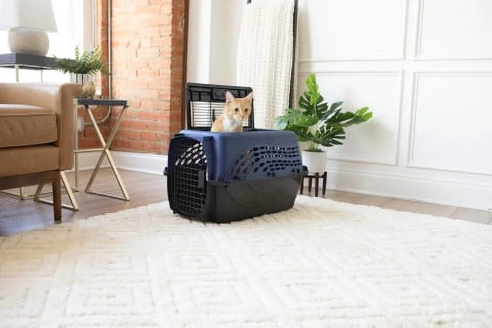 Blue 24 2-Door Plastic Pet Carrier U903