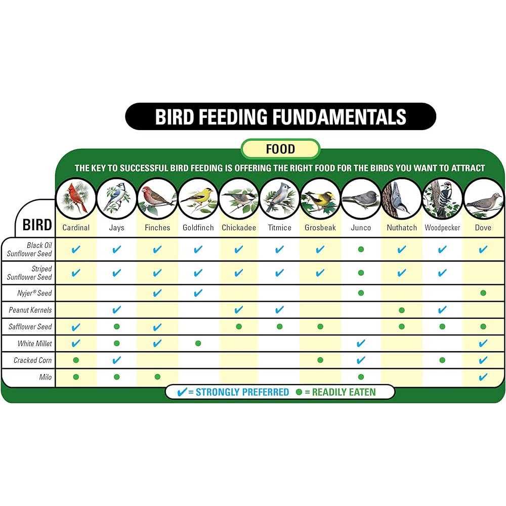 Nyjer Seed Wild Bird Food G5179