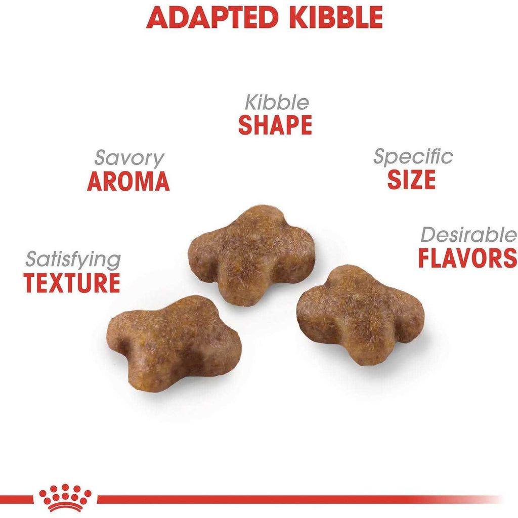 Kitten Dry Food K48624