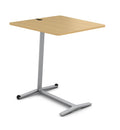 Platinum Metallic Warm Oak Laminate End Table P231