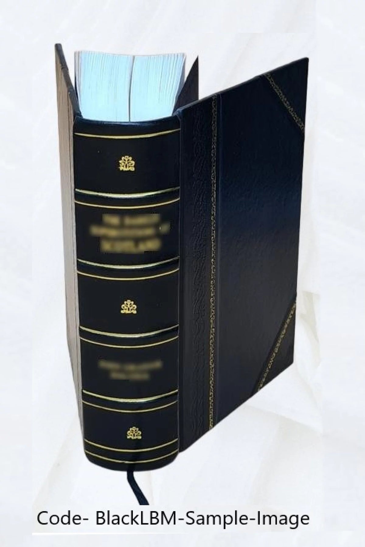 Storia di Pio VII S3362