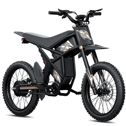 2500W Electric Dirt Bike with Removable Batteries E9192