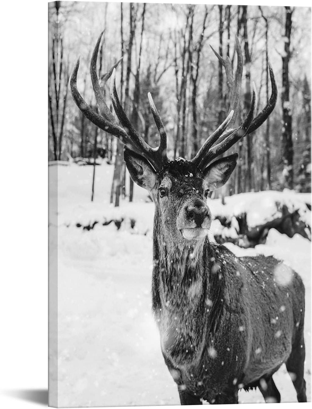Black and White Deer in Winter Forest Canvas Print Wall Art W55429