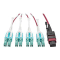 OM4 Fiber Optic Patch Cable 3.3 ft Magenta K584764
