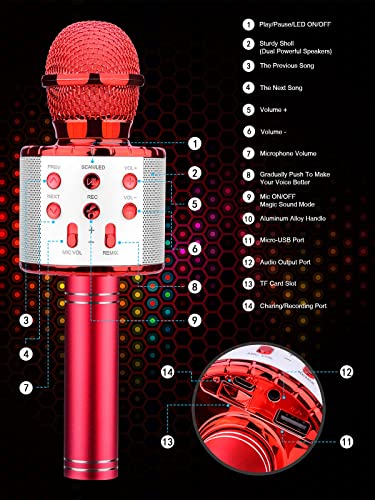 4 in 1 Wireless Karaoke Microphone with LED Lights G765022