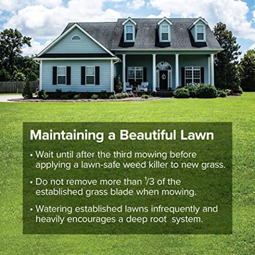 Fine-Textured Sun and Shade Grass Seed Mix, 25 lb Bag V618