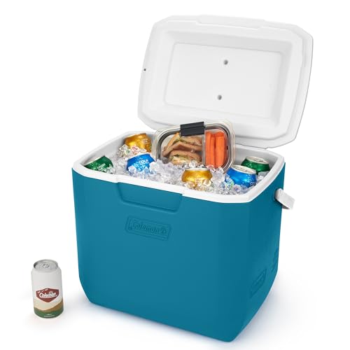 30qt Insulated Portable Cooler with Carry Handle N38464
