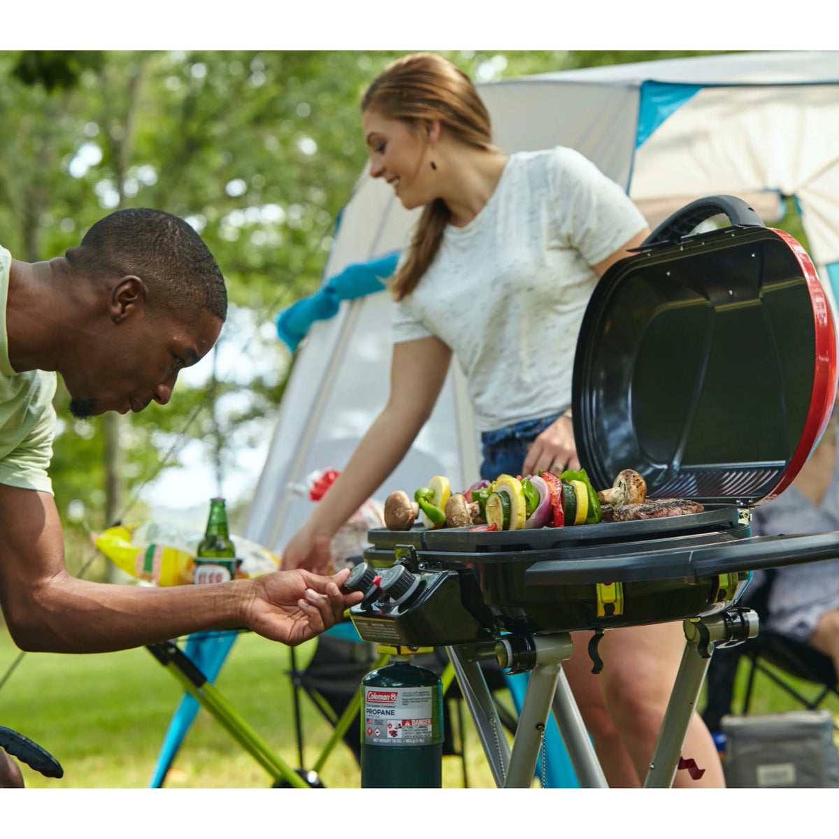 2 Burner Propane Gas Portable Grill P4622