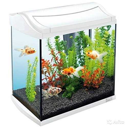 Aquarium Gravel F802
