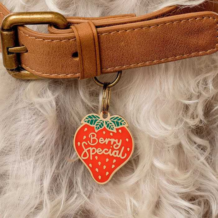 Pet ID Tag D148