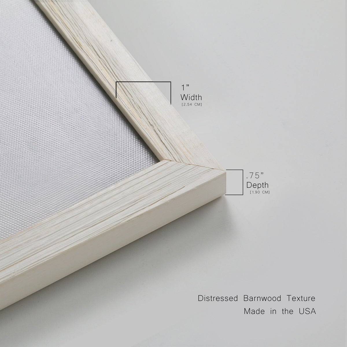 Framed Canvas 20x20 Black E76517