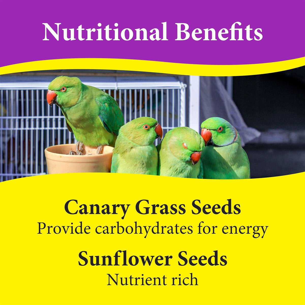 Cockatiel Bird Food Seeds C38822