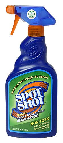 Instant Carpet Stain & Odor Eliminator 22 oz (Pack of 6) I602850