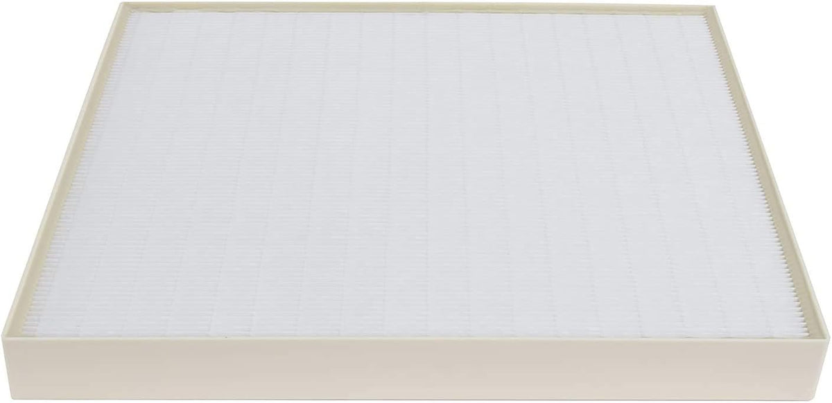 HEPA Filter and 4 Pre-Carbon Filters Pack of 2 E889