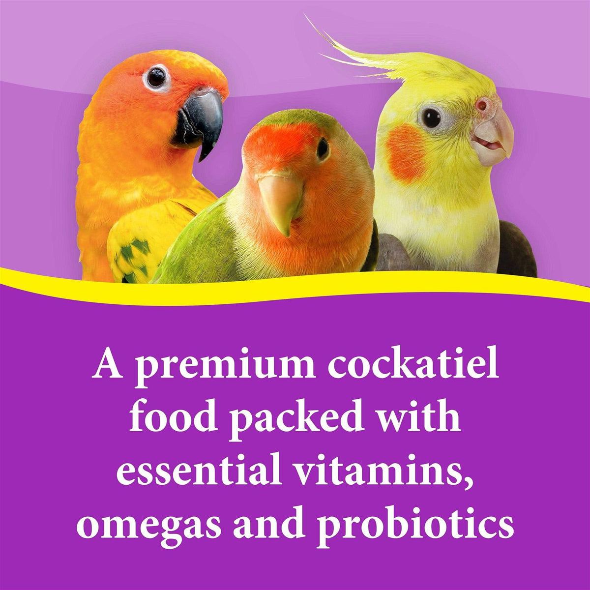 Cockatiel Bird Food Seeds C38822
