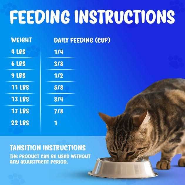 Renal Support Diet Dry Cat Food H97292