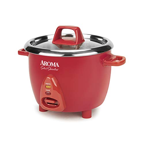 6-Cup Stainless Rice Cooker E482