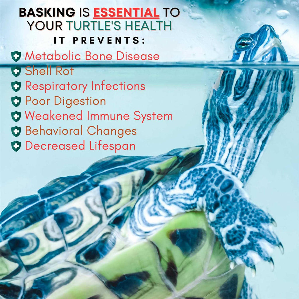 Extra Large Wide Hanging Turtle Basking Platform 17×16 Aquatic Reptile Ramp Dock J26234