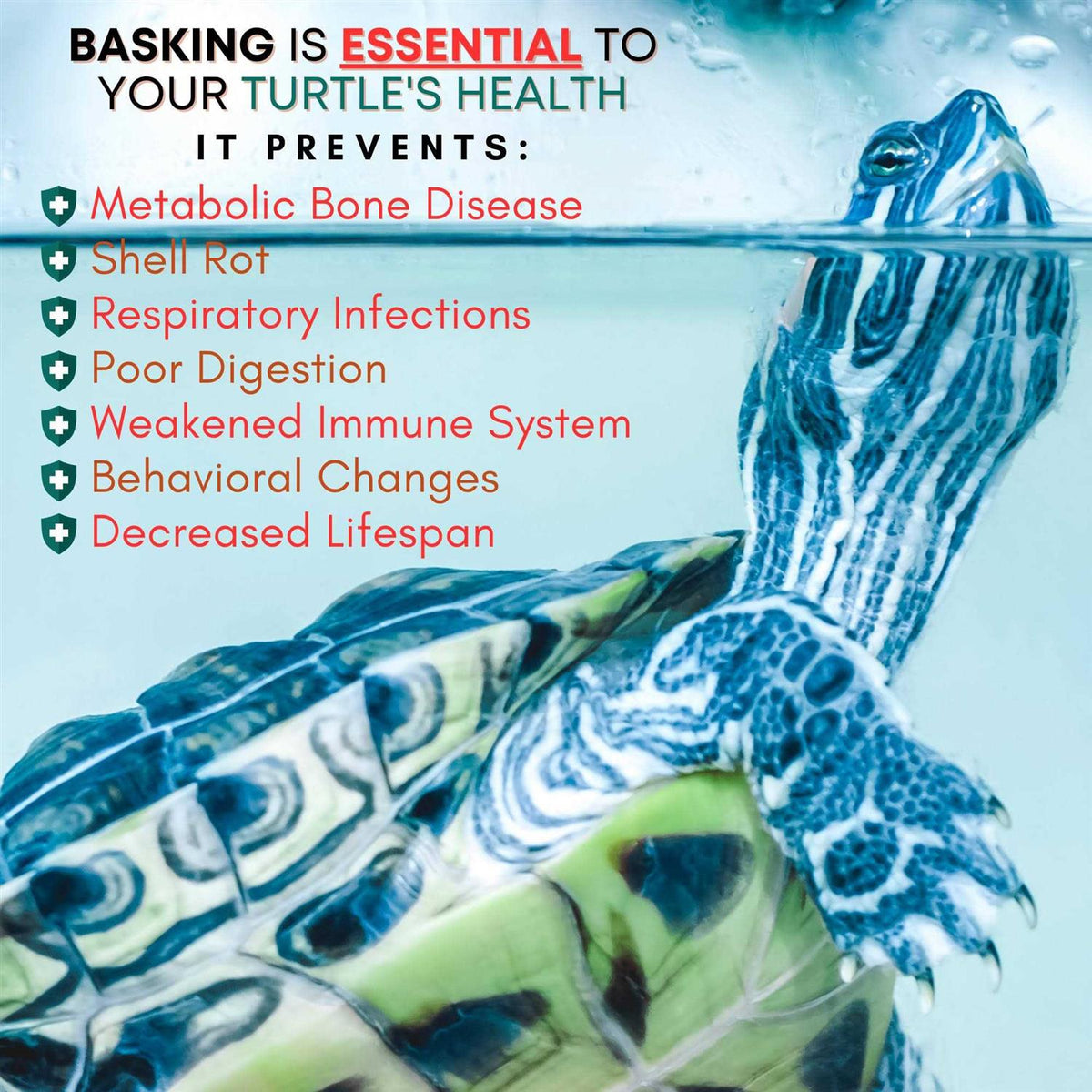 Extra Large Wide Hanging Turtle Basking Platform 17×16 Aquatic Reptile Ramp Dock J26234