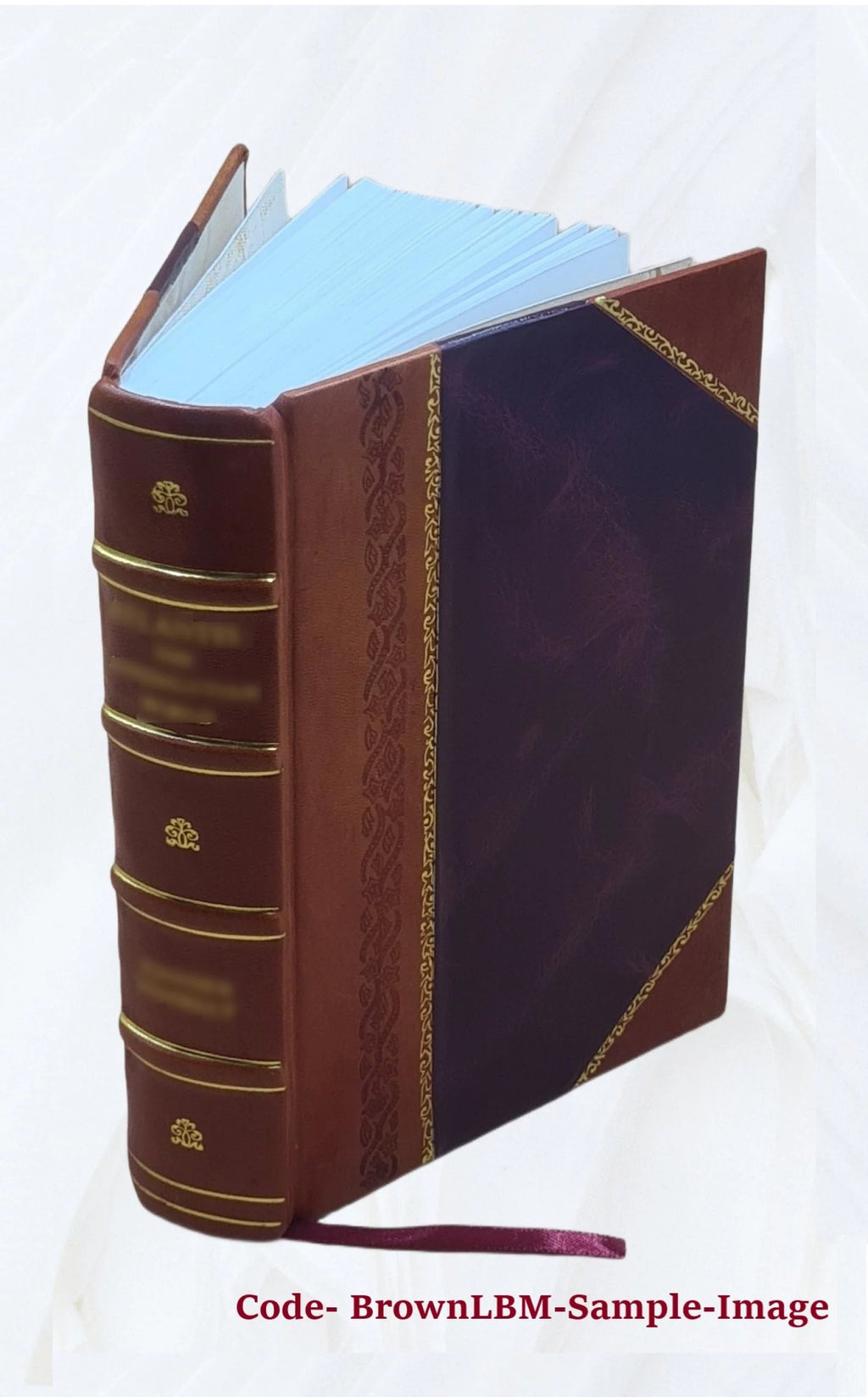 Storia di Pio VII S3362