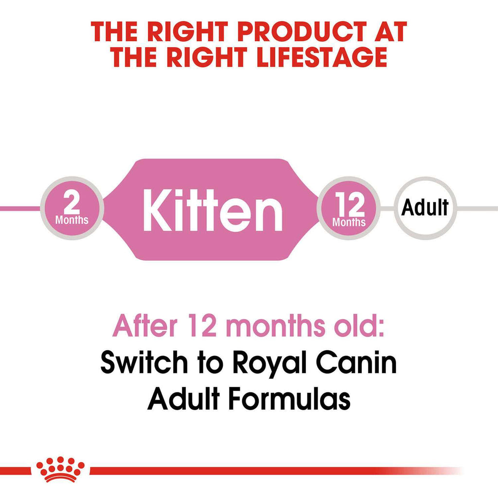 Kitten Dry Food K48624