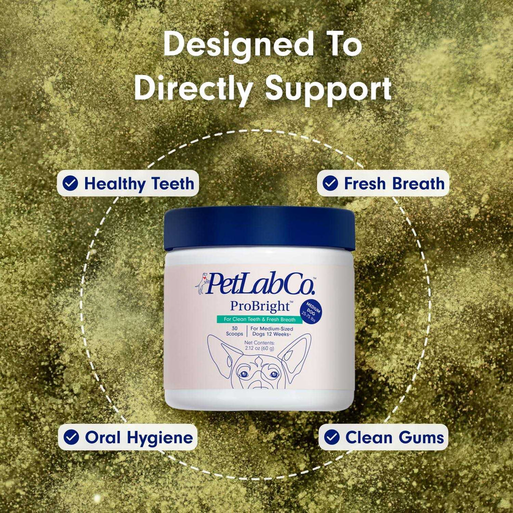 Dog Dental Powder N478