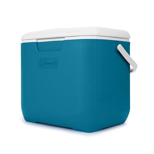 30qt Insulated Portable Cooler with Carry Handle N38464