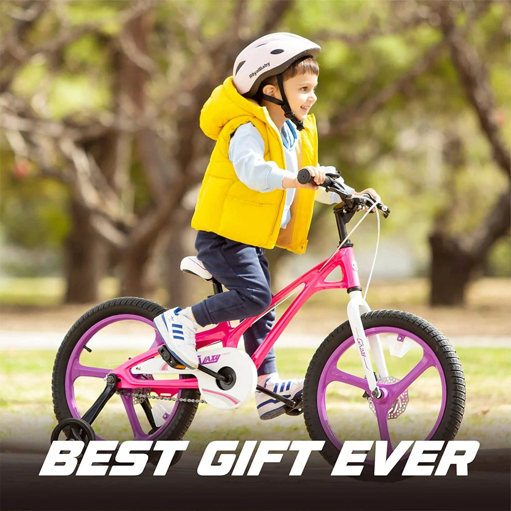 16 In. Kids Bike with Disc Brake and Training Wheel C41822
