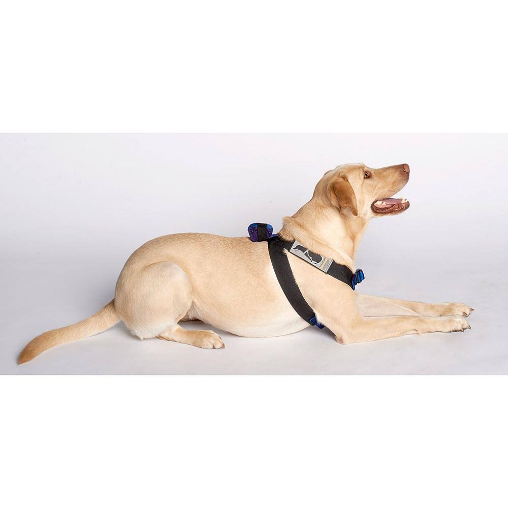 Blue Travel Safe Harness C368057