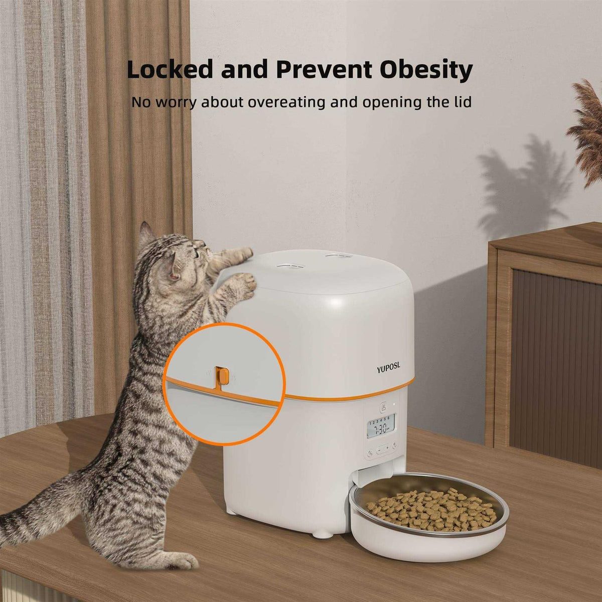 Automatic Cat Feeders 8cup/68oz Cat Food Dispenser P5903