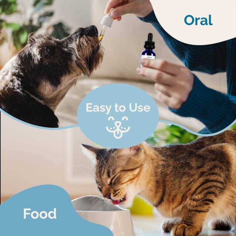Cold Symptom Support for Cats U561052