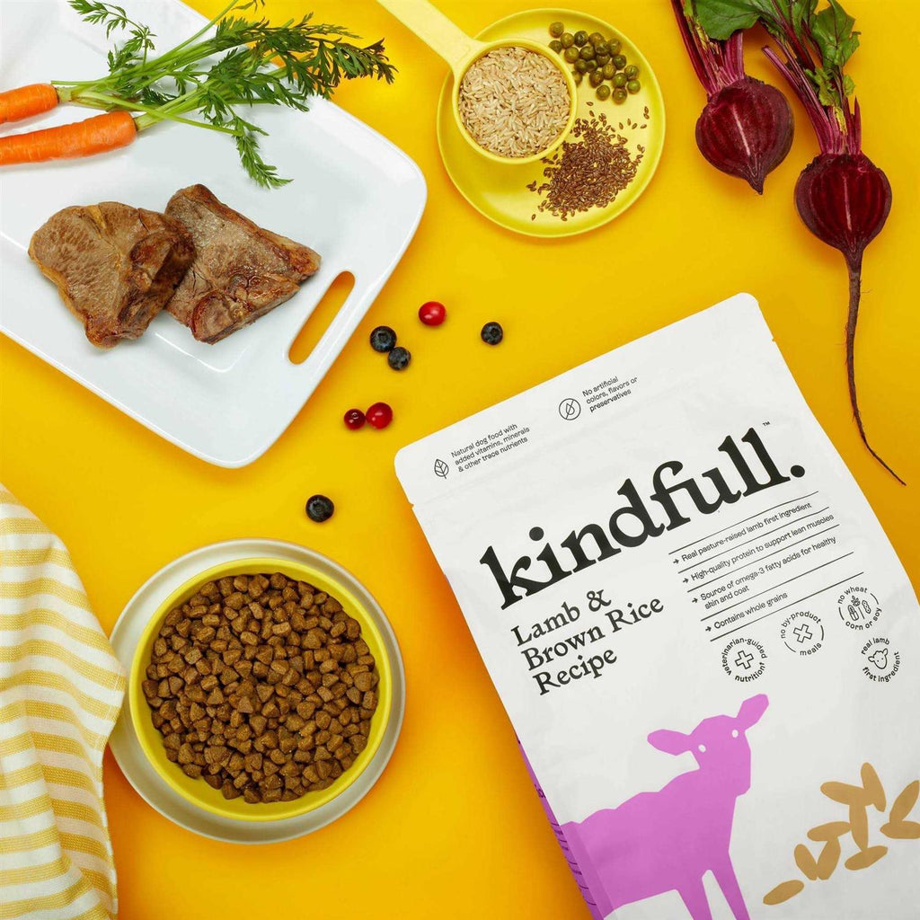 Lamb & Brown Rice Recipe Dry Dog Food A659439
