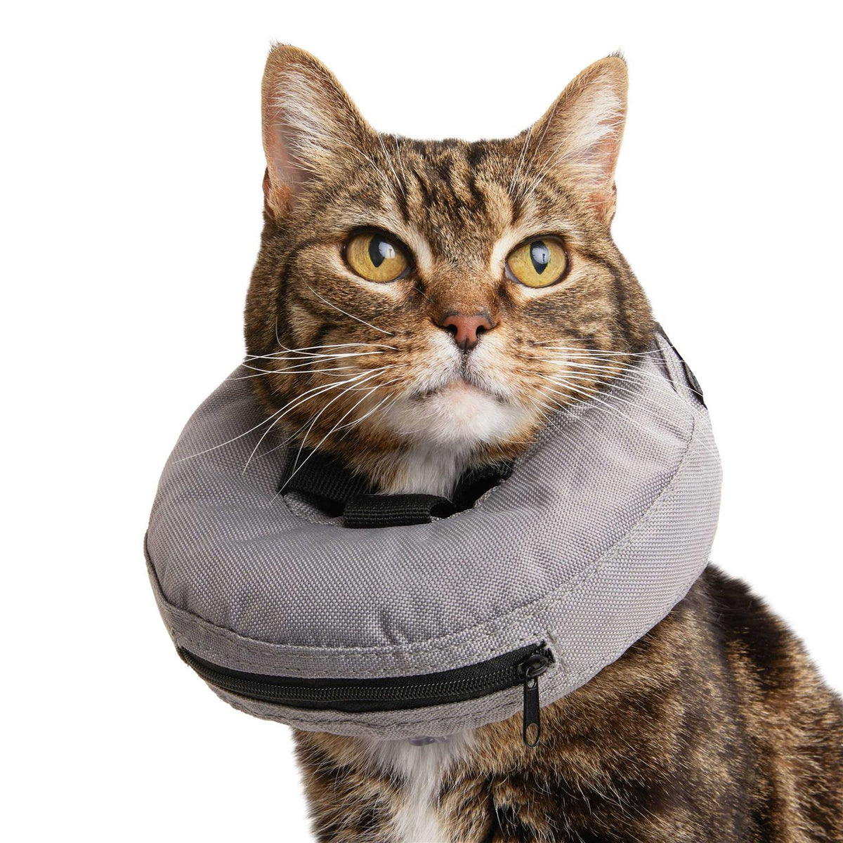 Inflatable Recovery Cat Collar E16215