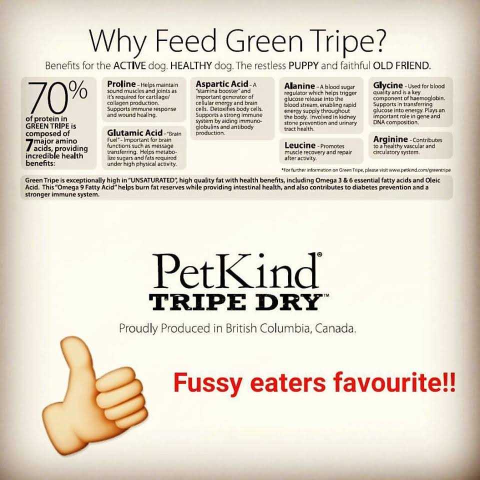 Beef Tripe Formula Dry Dog Food A873227