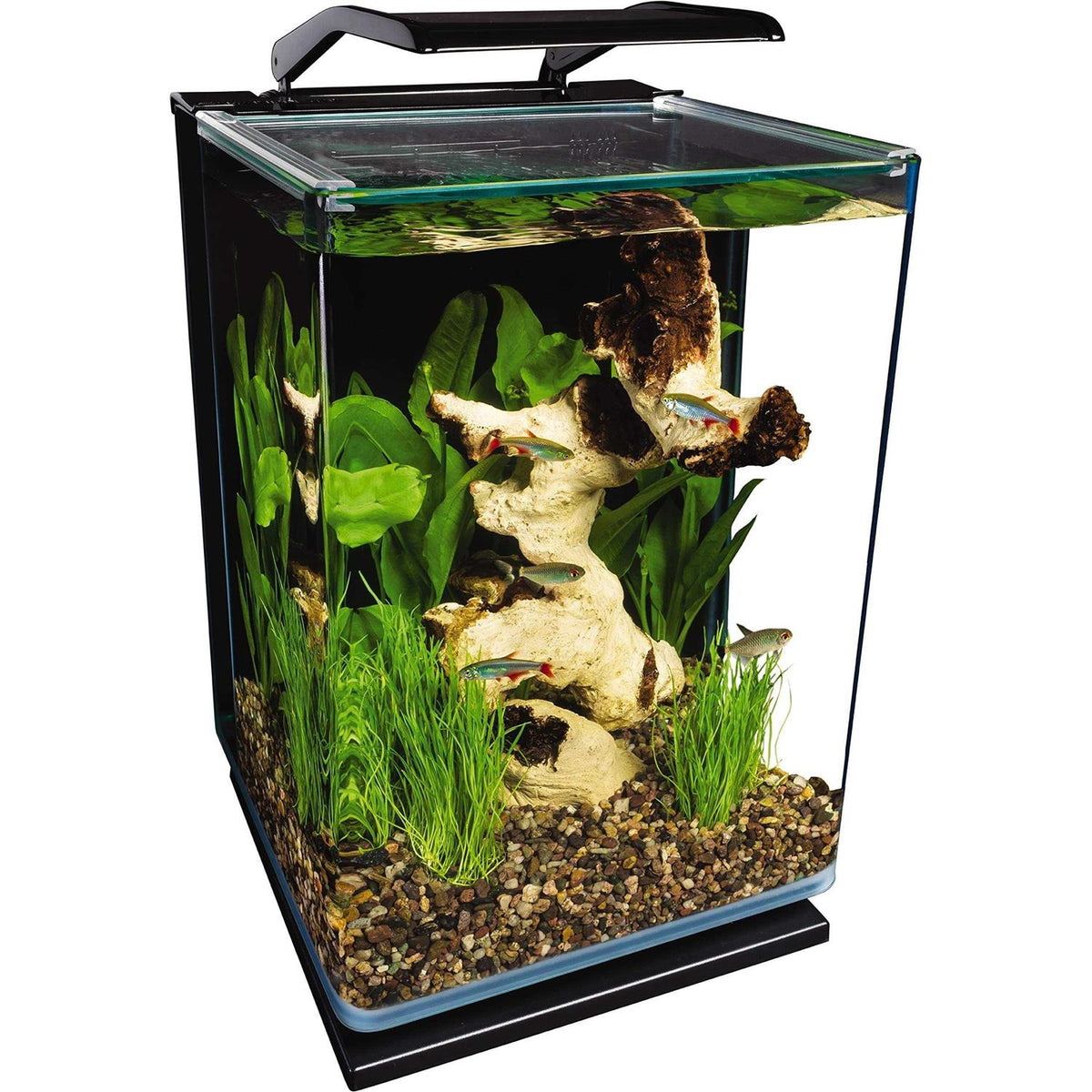 Pet Supplies D619
