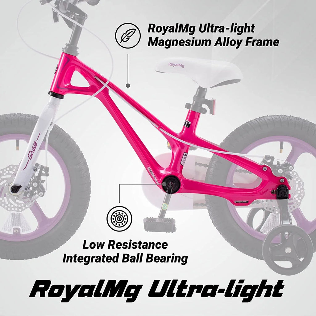 16 In. Kids Bike with Disc Brake and Training Wheel C41822